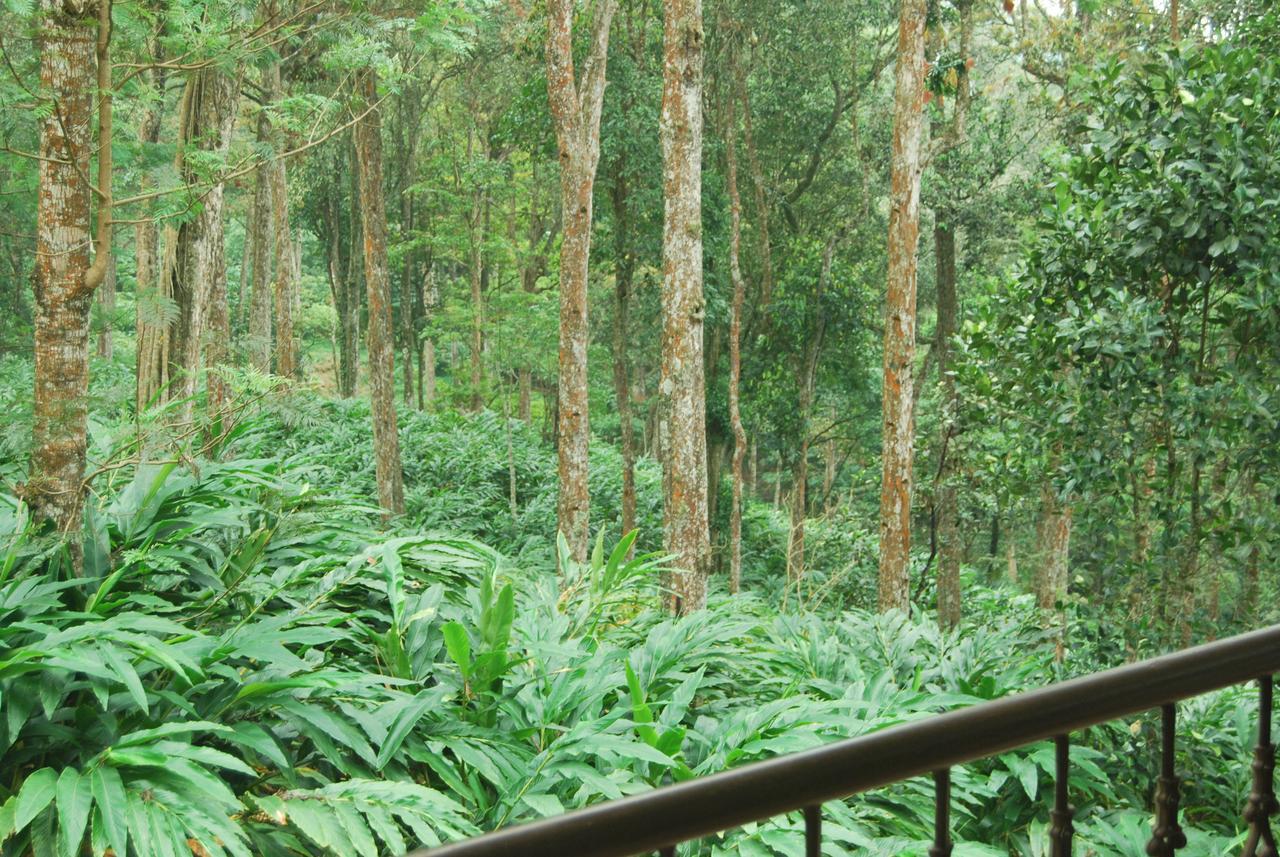 T Cherry Villa Munnar Exterior foto