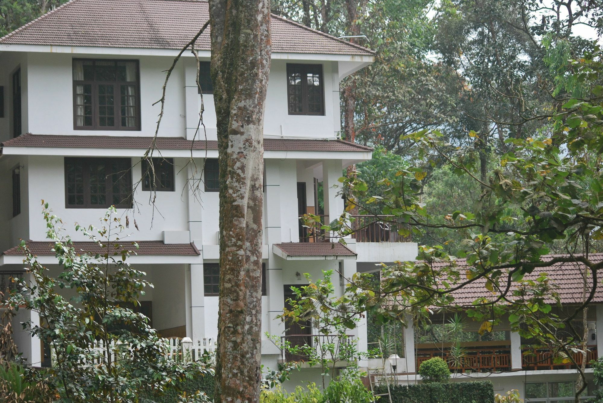 T Cherry Villa Munnar Exterior foto